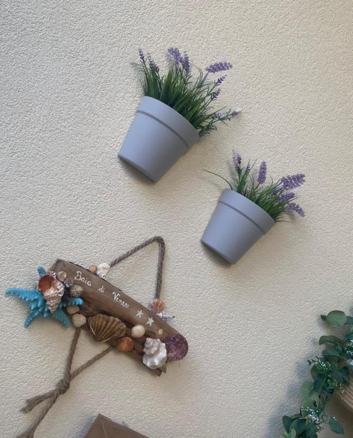 Hotel Baia Di Venere Σαν Βίτο λο Κάπο Εξωτερικό φωτογραφία